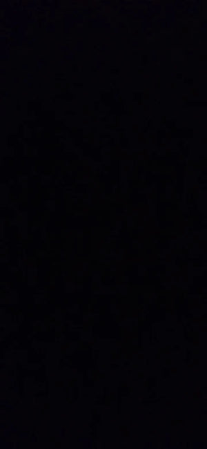 Ae0e6ed5ca6944c65bf986376275886d0S.jpg